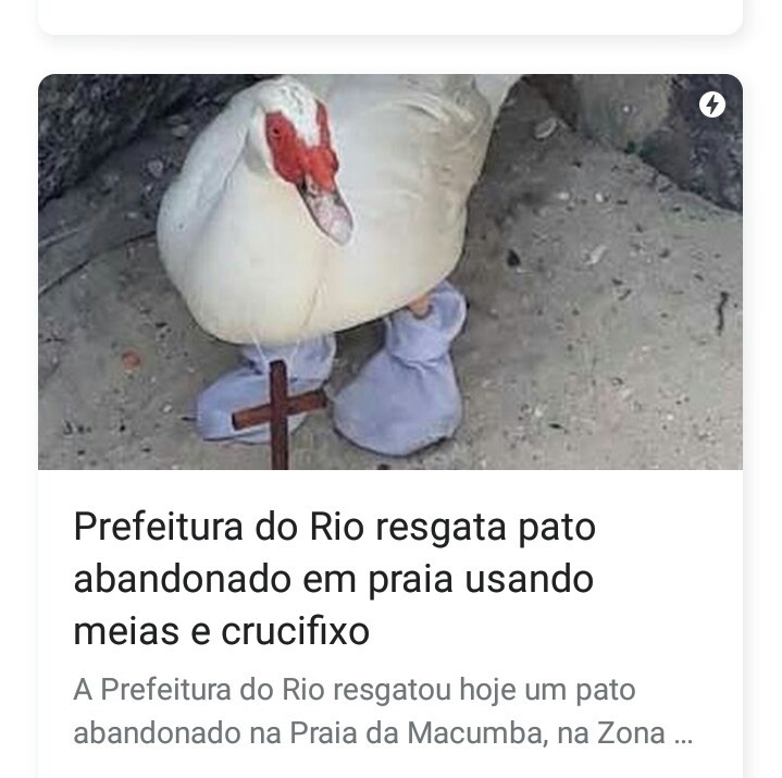 Rio de Nojeira - meme