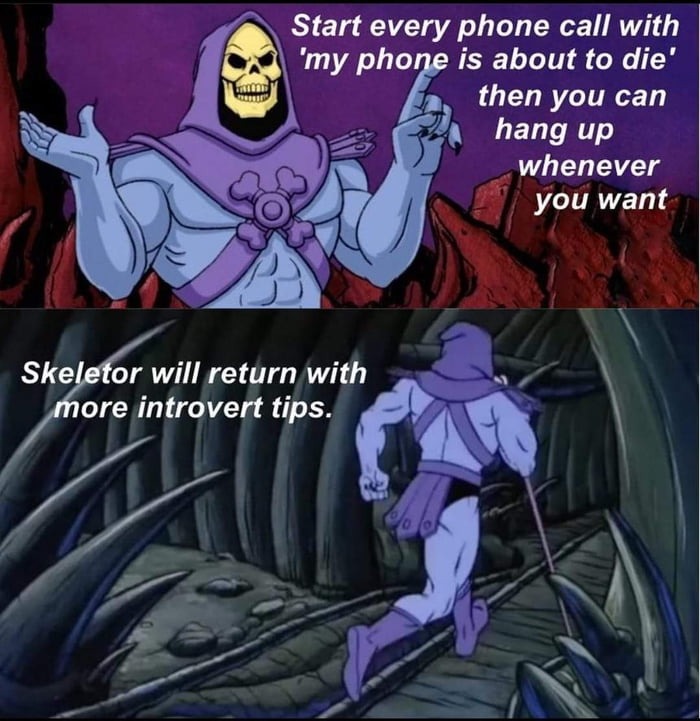 Skeletor with phone call tips - meme