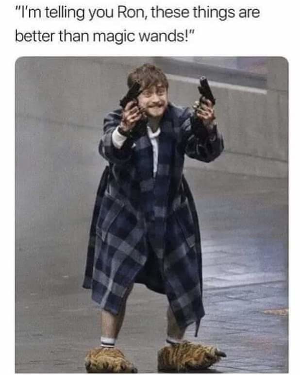 Most sane Potter - meme