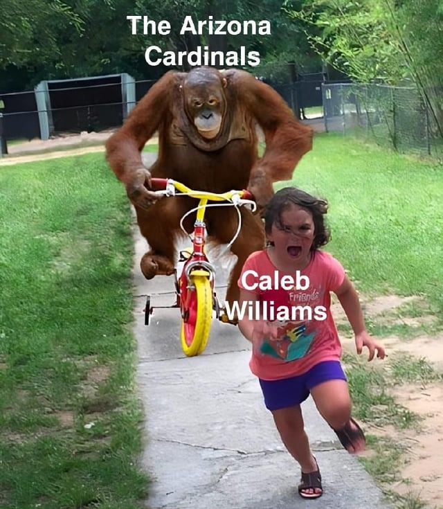 Pin on Arizona Cardinals Memes and Things