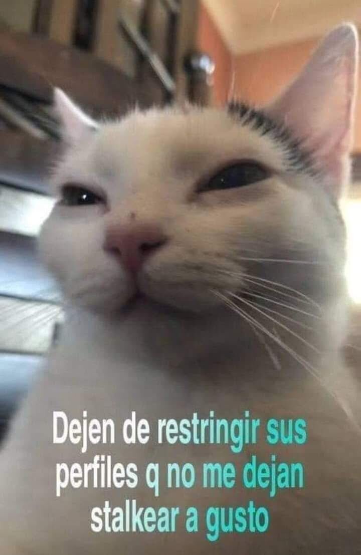 restrincciones en las redes sociales - meme