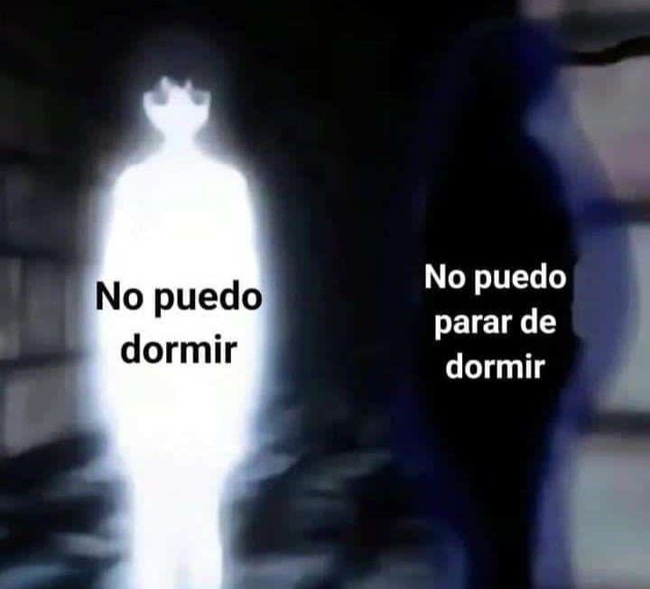 No puedo. No puedo parar de dormir. - meme