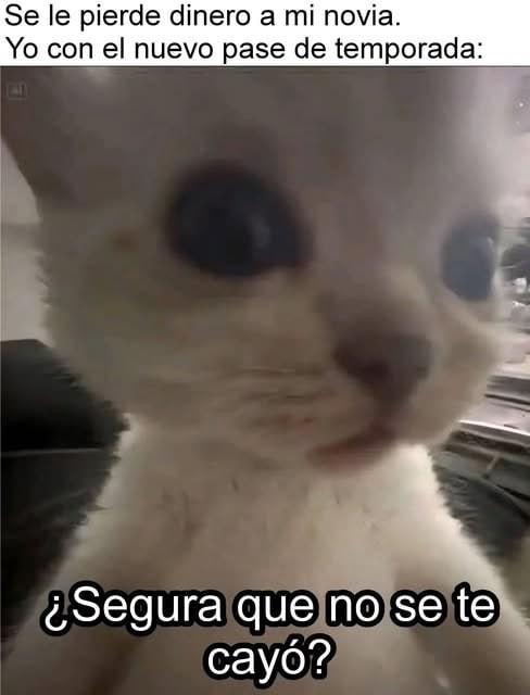 Mi novia perdió dinero justo cuando salió el nuevo pase... - meme