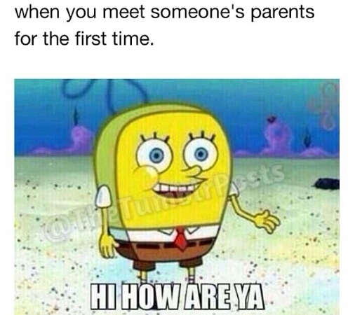 How I was meeting the girlfriends mom - meme