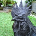 Most metal chicken I have ever seen