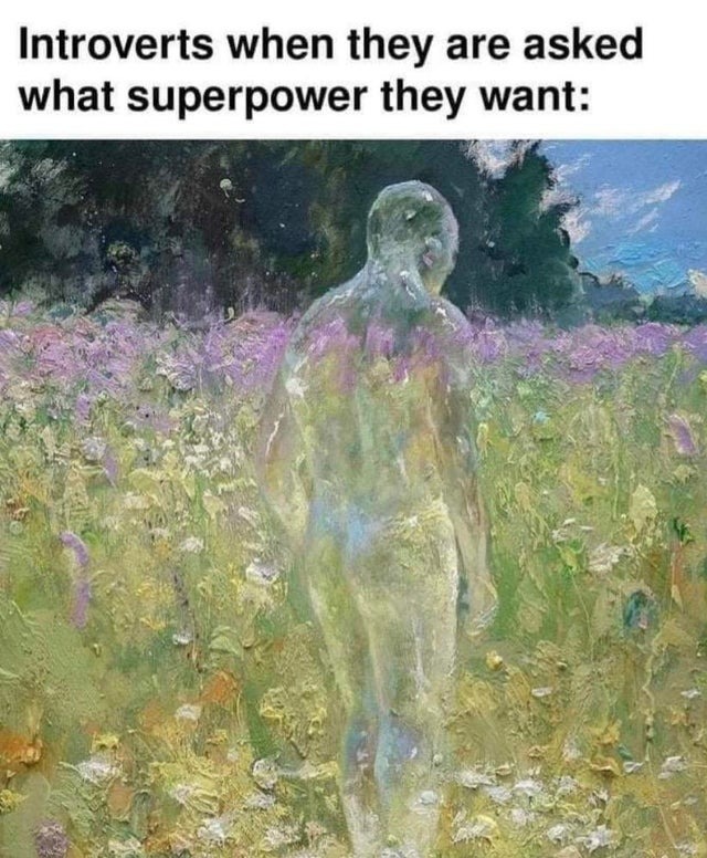 Introverts when they are asked what superpower they want - meme