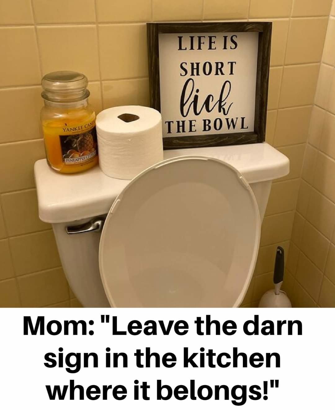 Mom for the win - meme