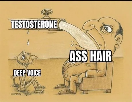 Funny testosterone meme