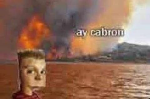 Yo en los trabajos grupales: - meme
