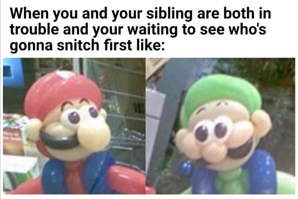 Siblings suck - meme