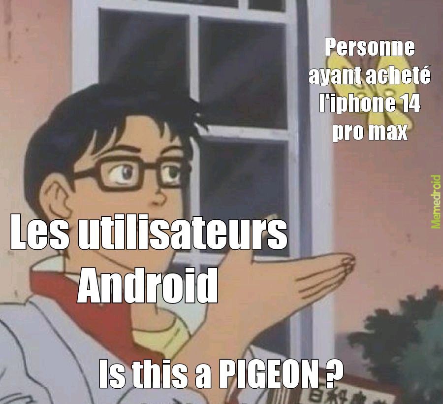 Insérer l'iphone dans le pigeon - meme