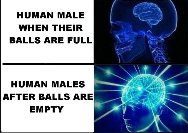 Human male - meme