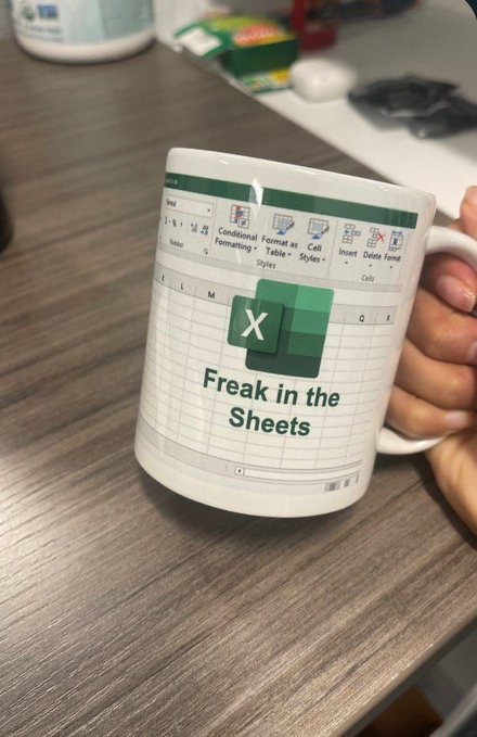expert - meme