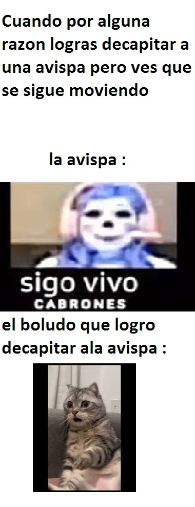 COMO MIERDA SIGUEN VIVAS???? - meme