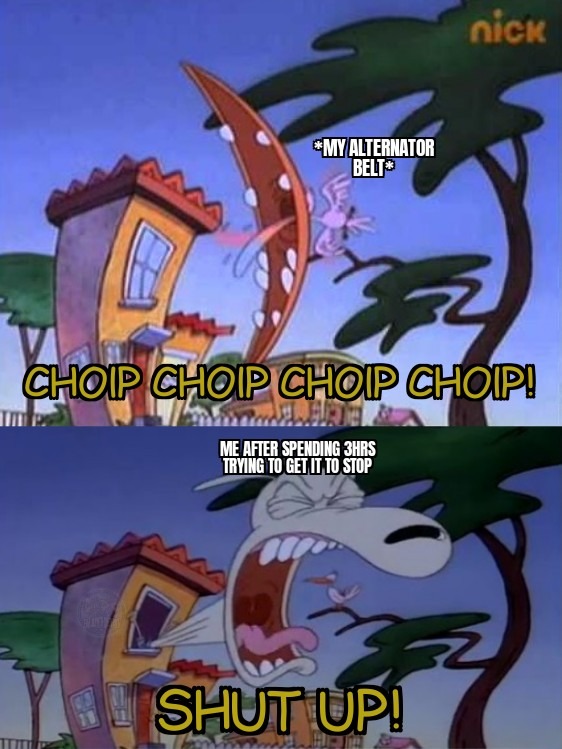 Birdinator - meme