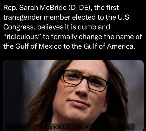 It makes total sense when you're trying to piss off libtards. - meme