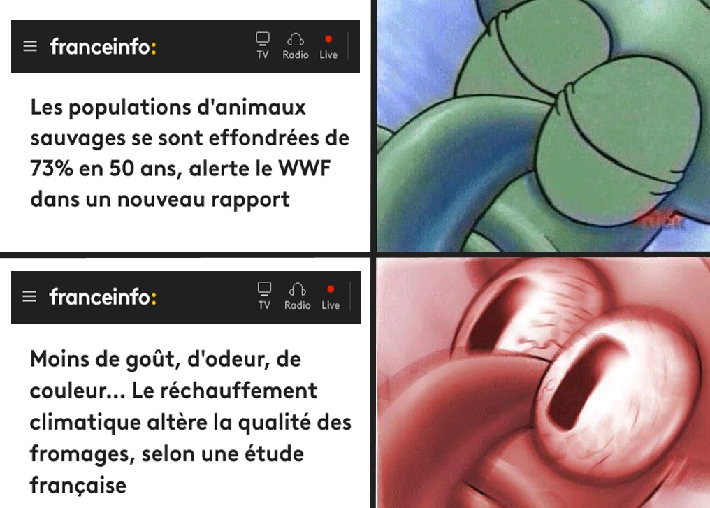 La biodiversité, on va pas en faire un fromage - meme