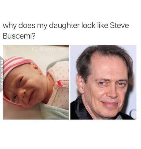 That's does my daughter look like Steve Buscemi? - meme