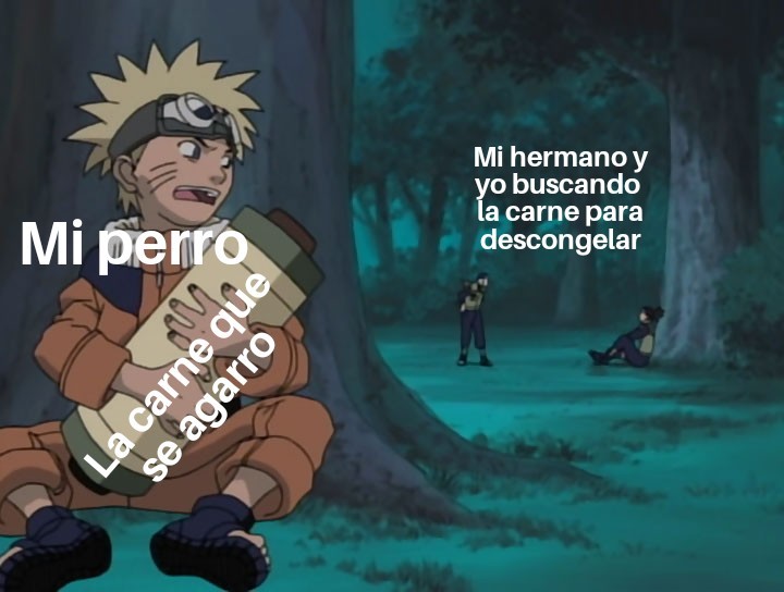 Copyright  Reservado Perro - meme