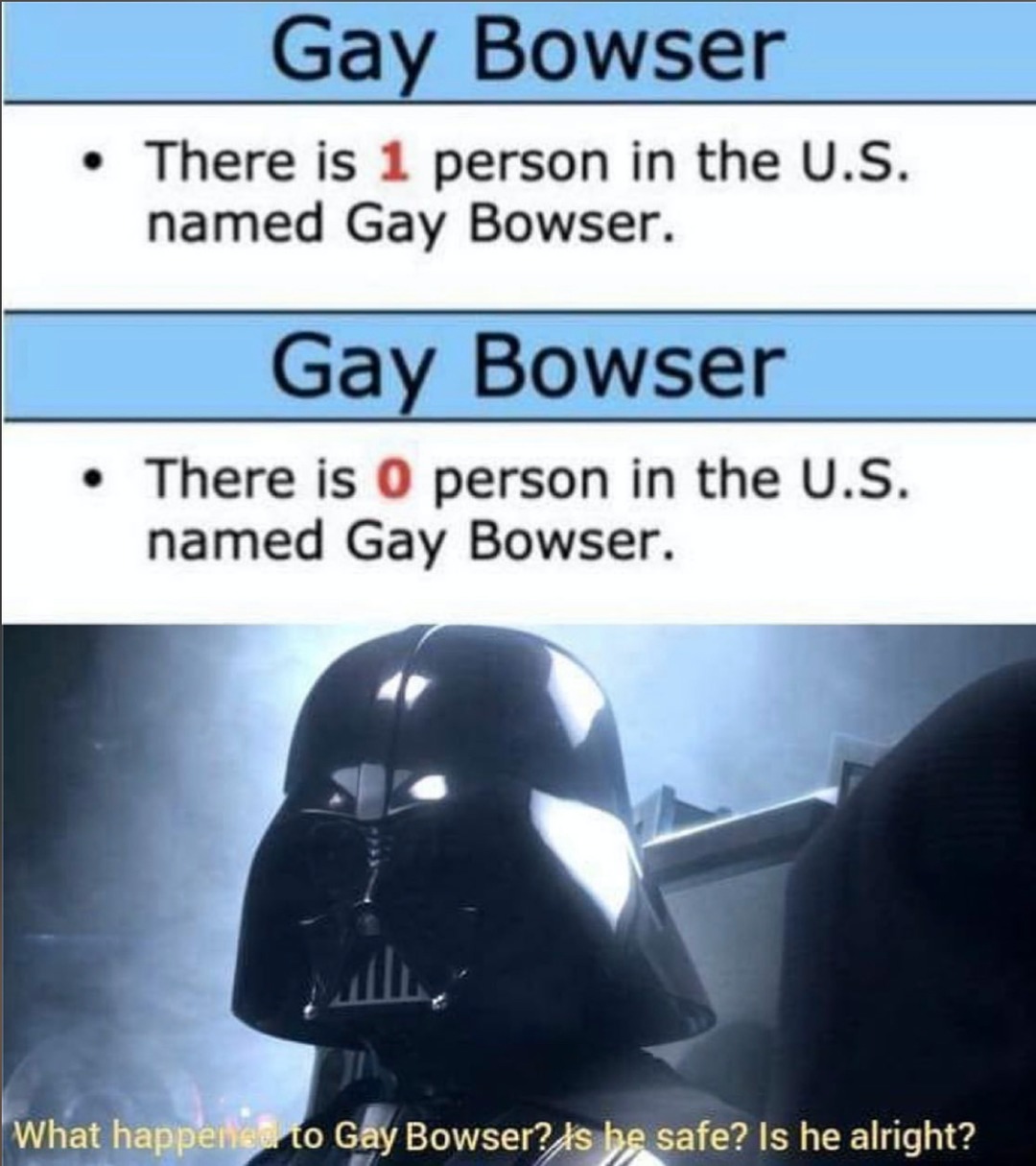 SO LONG GAY BOWSER - meme