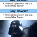 SO LONG GAY BOWSER