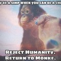 Return to monkey