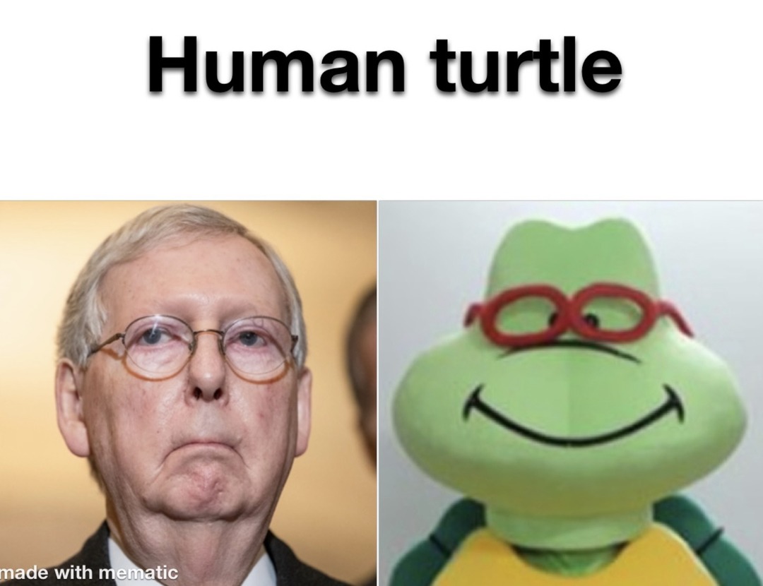 Turtles just take more time to think - meme