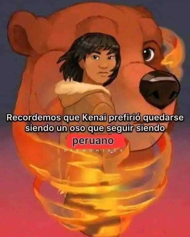 Oso - meme