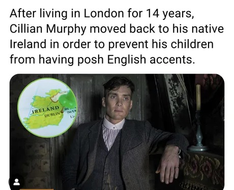 Cillian Murphy moved back to Ireland - meme