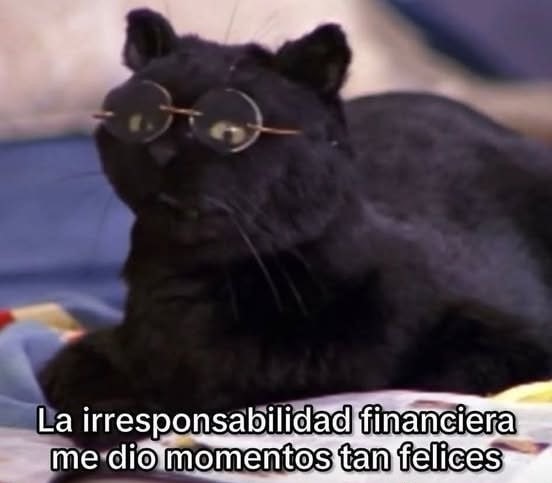 La irresponsabilidad financiera me dio momentos tan felices - meme