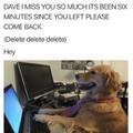 Cute doggo misses you