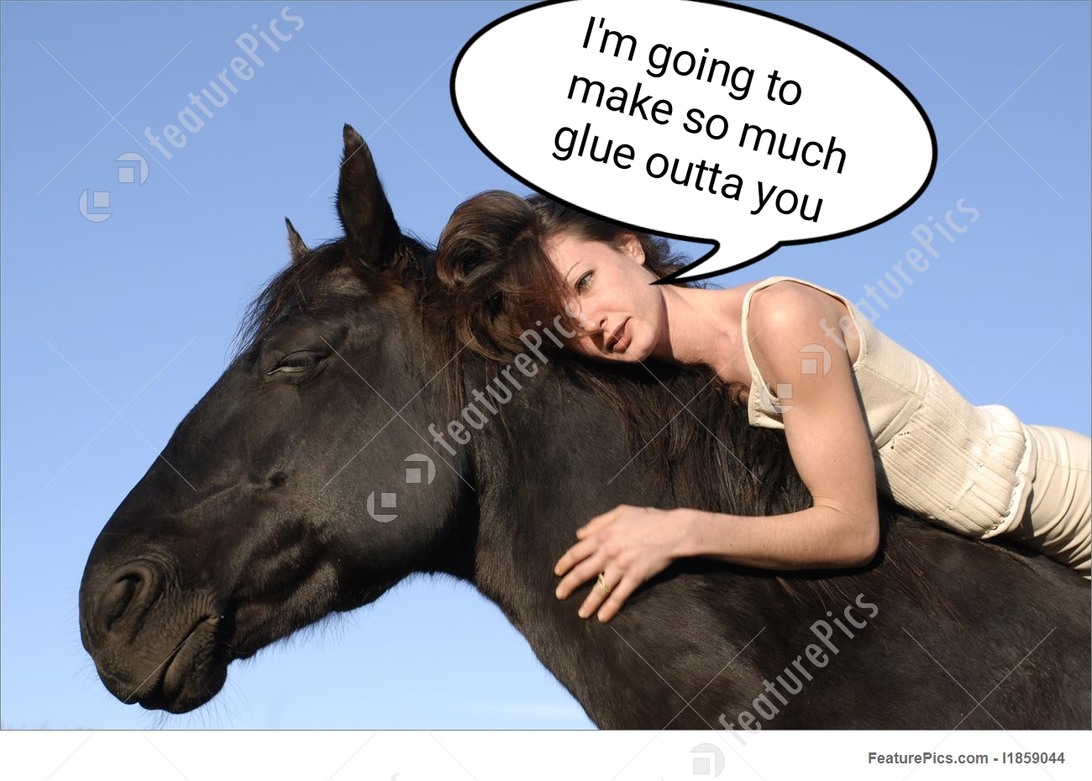 Horse glue - meme