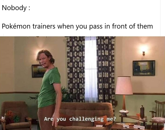 Pokemon trainers when you pass in front of them - meme