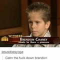 Calm the fuck down Brendon