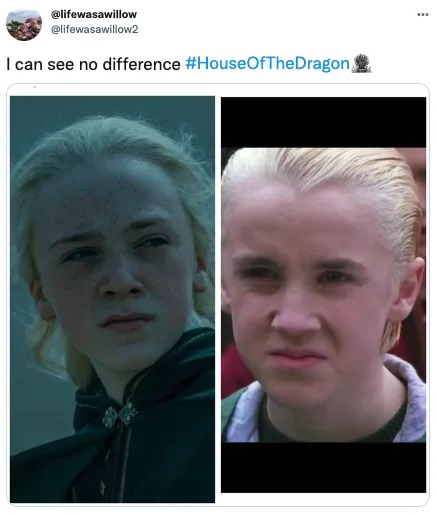 Draco in House of the Dragon - meme