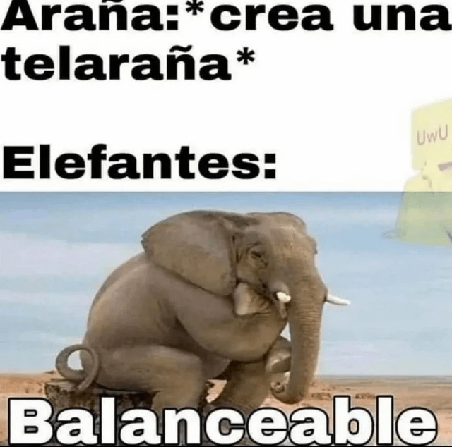 meme elefantil