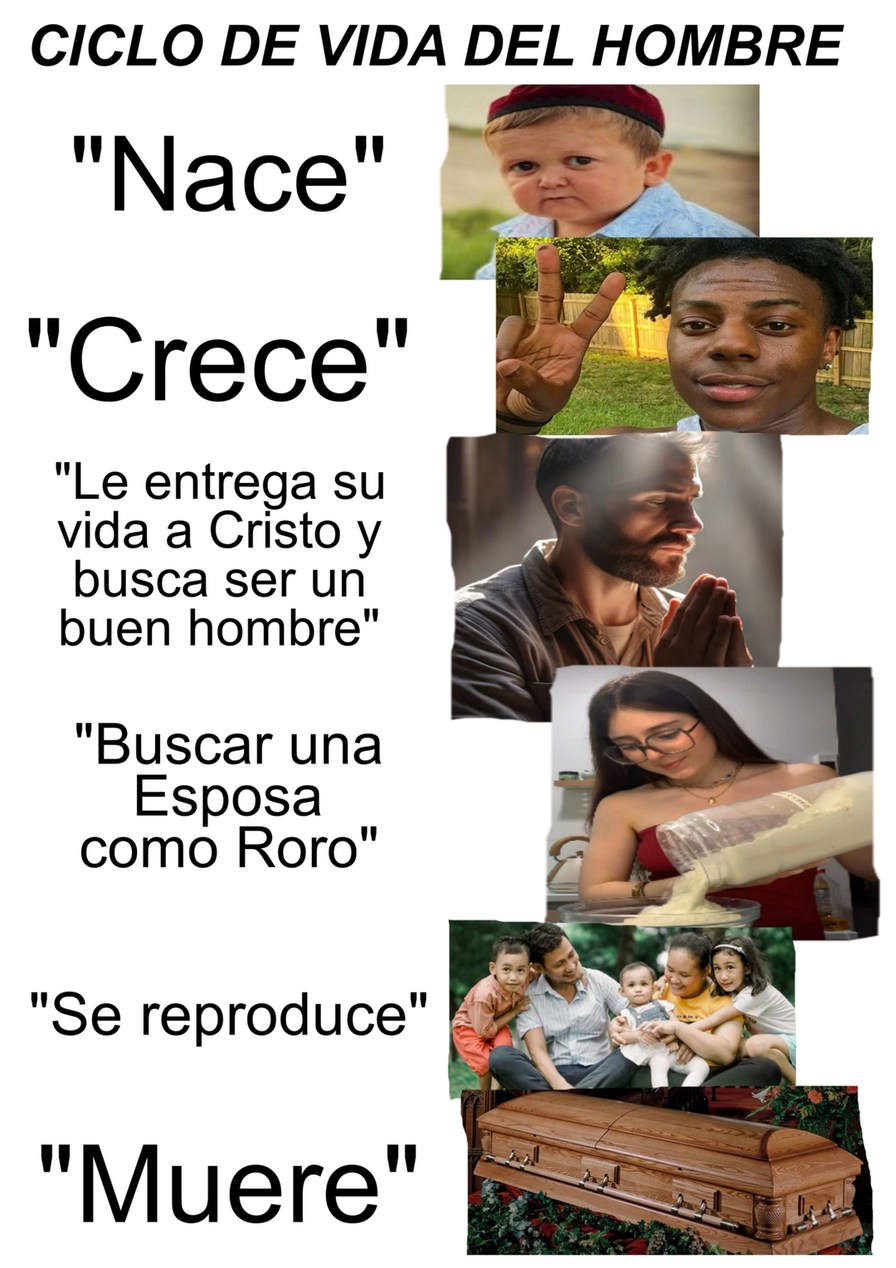 Mas mujeres como Roro - meme