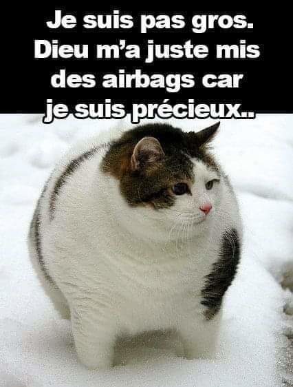 Tu est grosse Mélissandre - meme