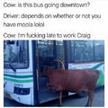 I'm late to work Craig
