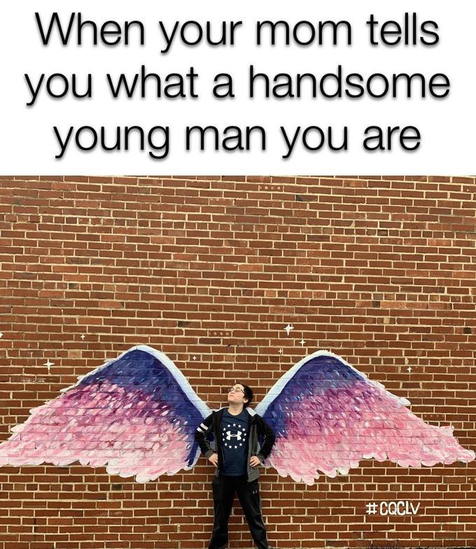 Love gives you wings. - meme