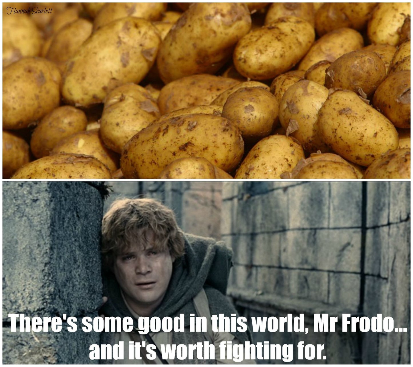 Baked potato is good - meme