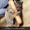 bread thief