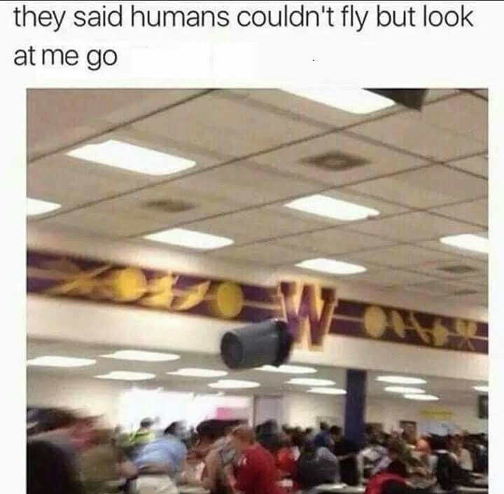 I beleive i can fly - meme