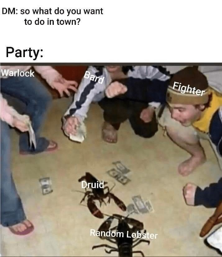 Average DnD moment - meme