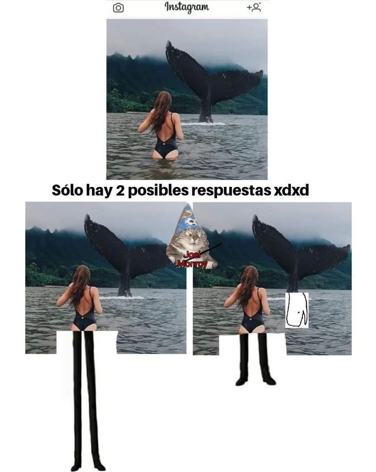 :v - meme