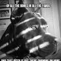 Noir dog Humphrey Boneguard