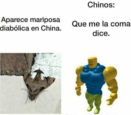 CHINOS - meme