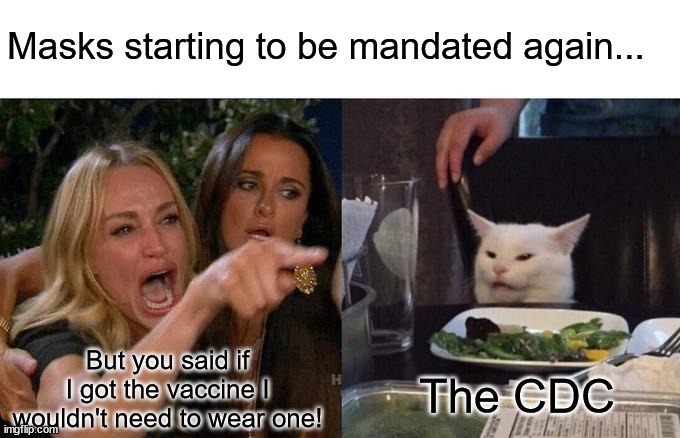 if you got the vaccine its bc youre a little bitch - meme