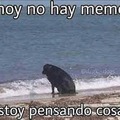 Perrito sad :(