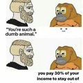 the monkey has a point